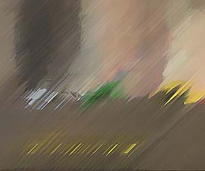 Premium WordPress Themes